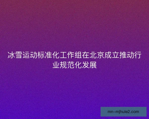 冰雪运动标准化工作组在北京成立推动行业规范化发展