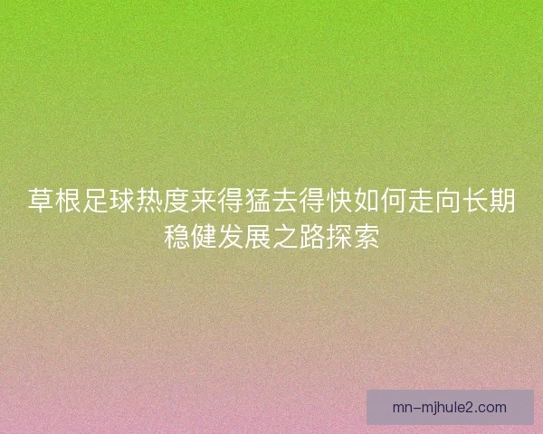 草根足球热度来得猛去得快如何走向长期稳健发展之路探索 草根足球热度来得猛去得快如何走向长期稳健发展之路探索