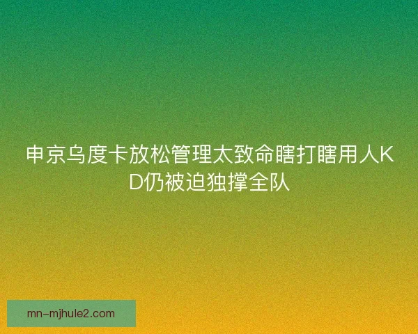 申京乌度卡放松管理太致命瞎打瞎用人KD仍被迫独撑全队 申京乌度卡放松管理太致命瞎打瞎用人KD仍被迫独撑全队